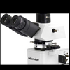 iPLM-43 Polarizing Microscope