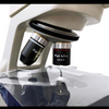 MS-B106L Biological Video Microscope