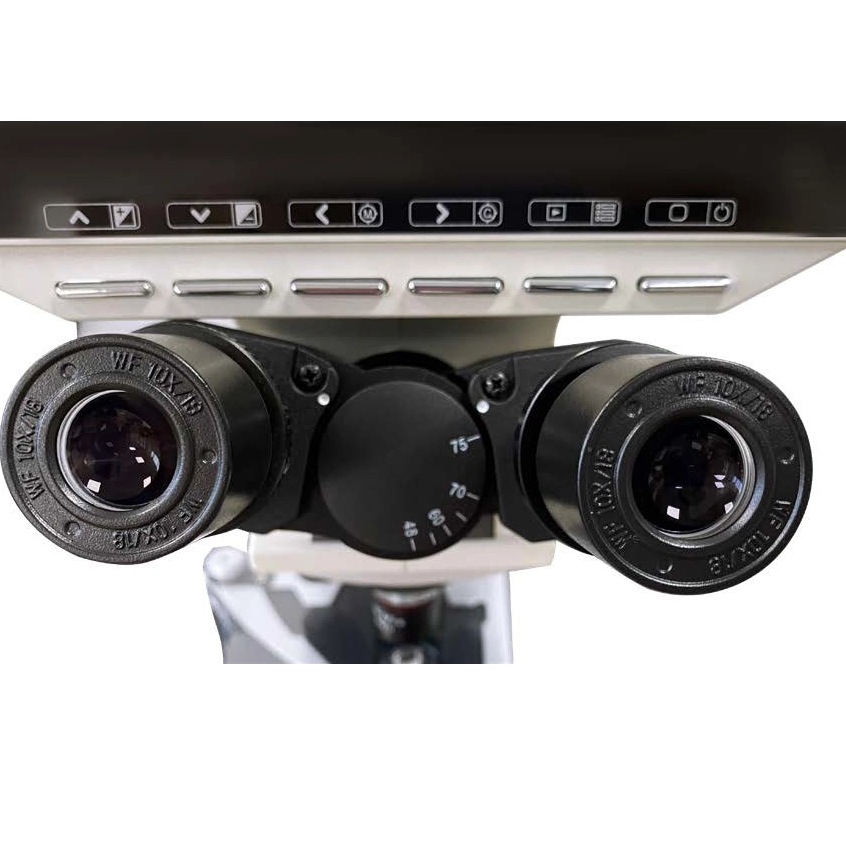 MS-B106L Biological Video Microscope