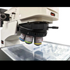iMetal-40UP Series Upright Metallographic Microscope