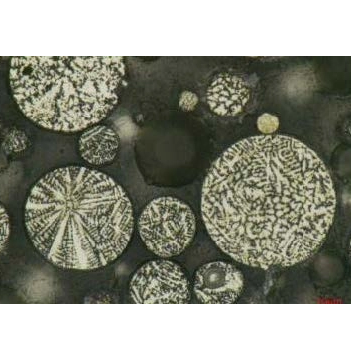 iPLM-43 Polarizing Microscope