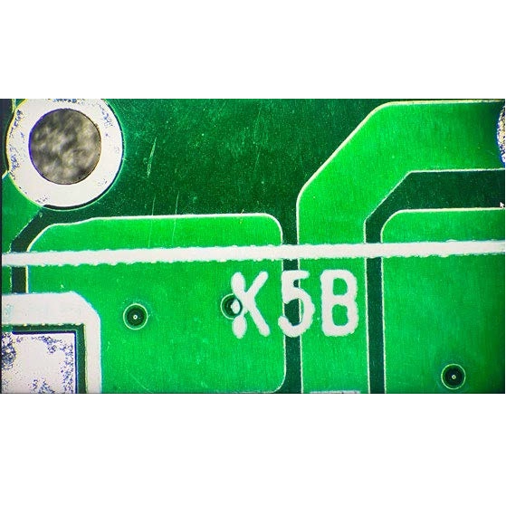 iVideo-80 Video Microscope