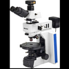 iPLM-43 Polarizing Microscope